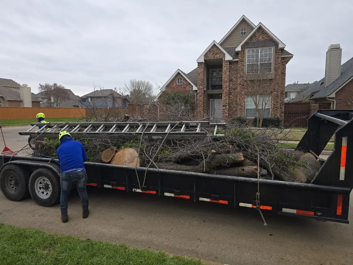 Expert Tree Pest Control with proper safety equipment in Ocean Grove